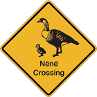 Nene Crossing